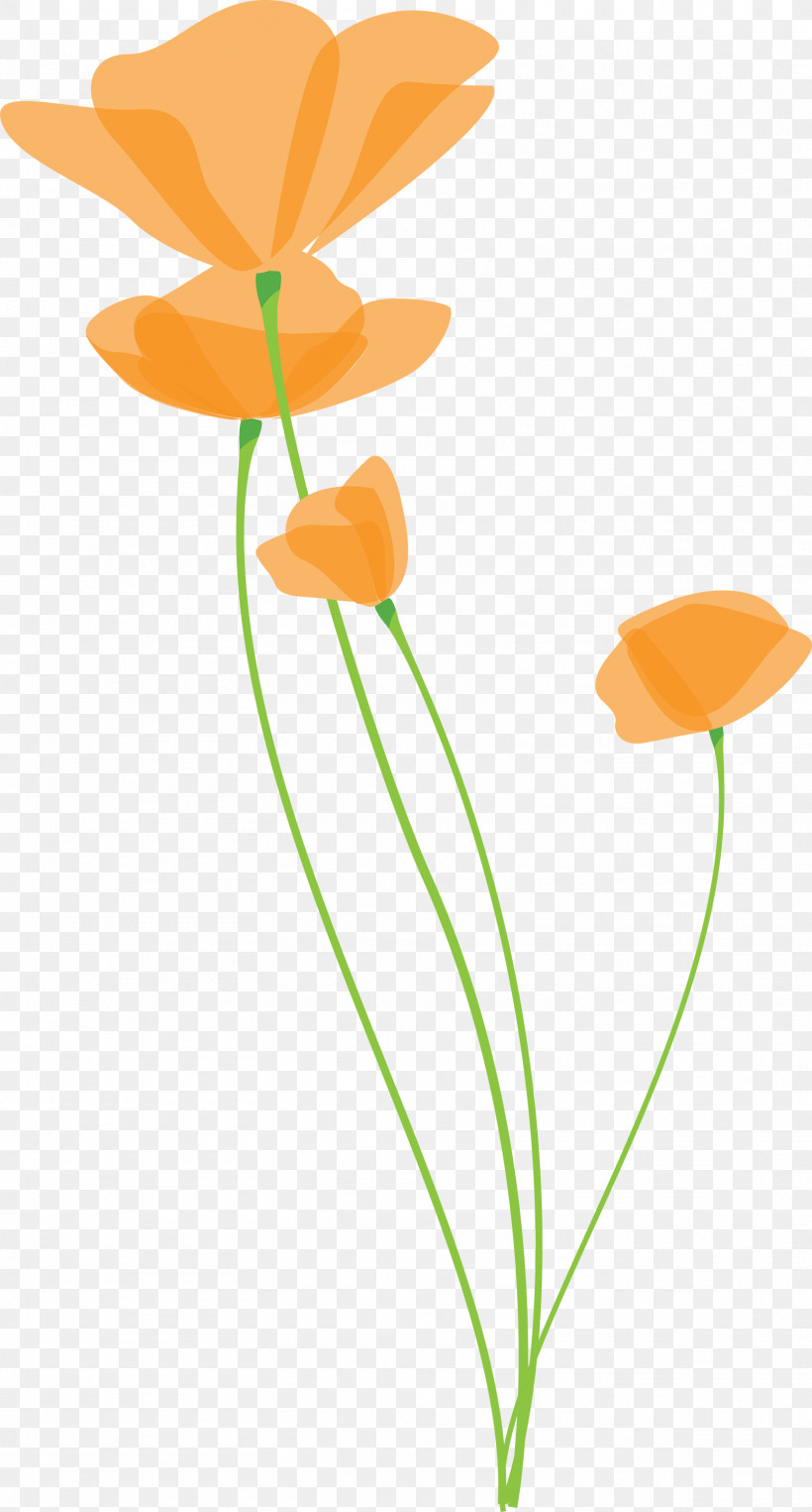 Poppy Flower, PNG, 1613x3000px, Poppy Flower, Cut Flowers, Flower, Leaf, Orange Download Free