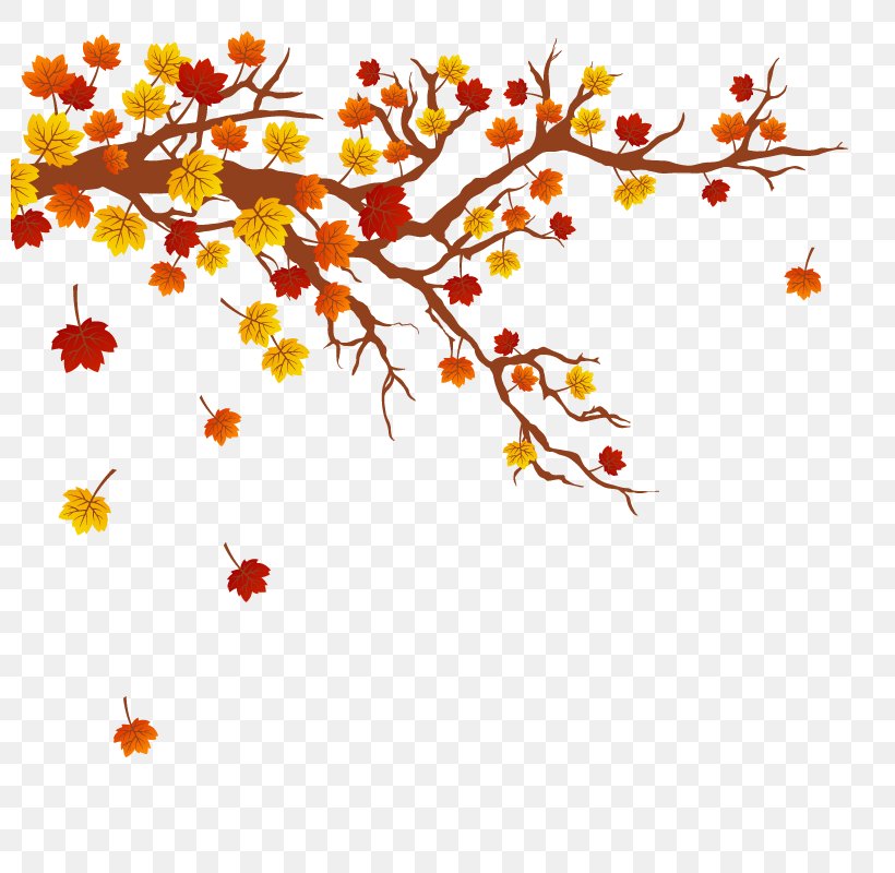 Autumn Leaf Color Tree Branch, PNG, 800x800px, Autumn, Area, Autumn Leaf Color, Branch, Floral Design Download Free
