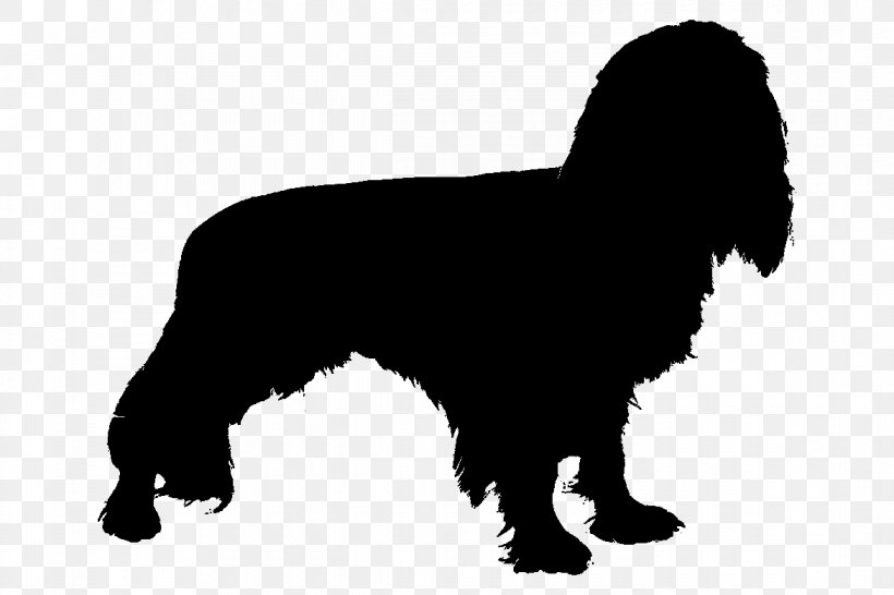 Newfoundland Dog Dog Breed Puppy Spaniel Gun Dog, PNG, 1170x780px, Newfoundland Dog, American Water Spaniel, Breed, Canidae, Carnivore Download Free