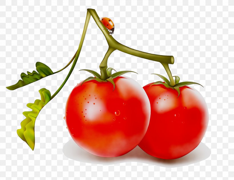 Tomato Juice Cherry Tomato Vegetable Tomato Soup, PNG, 3000x2308px, Tomato Juice, Bush Tomato, Can, Canned Tomato, Carrot Download Free