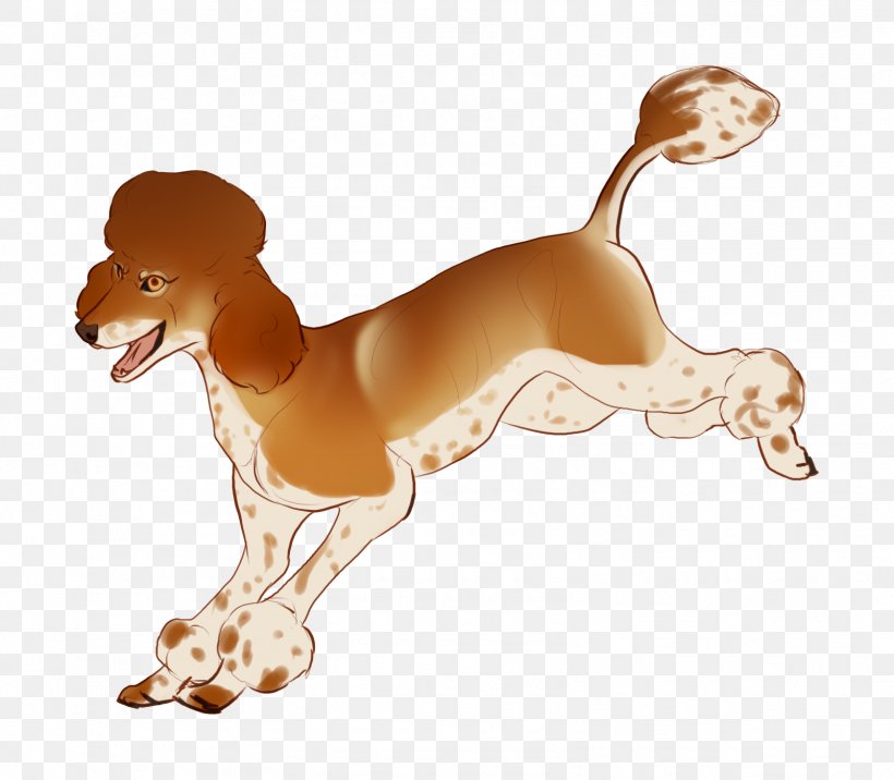 Dog Breed Italian Greyhound Beagle Puppy Companion Dog, PNG, 1603x1400px, Dog Breed, Beagle, Breed, Carnivoran, Companion Dog Download Free