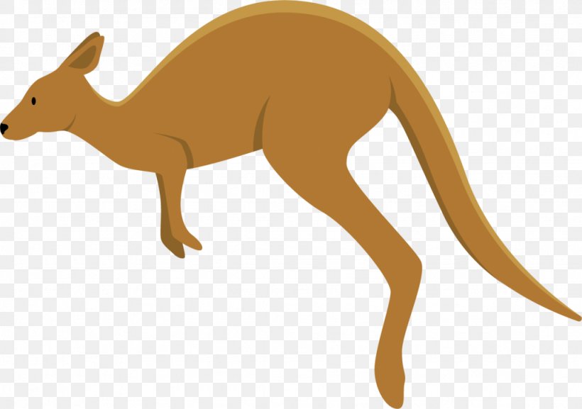 Kangaroo Macropodidae Dingo Koala Clip Art, PNG, 1024x721px, Kangaroo, Animal, Bear, Canidae, Carnivoran Download Free