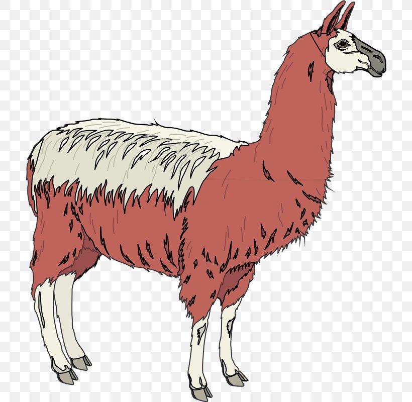 Llama Sheep Alpaca Animal Clip Art, PNG, 718x800px, Llama, Alpaca, Animal, Animal Figure, Camel Like Mammal Download Free