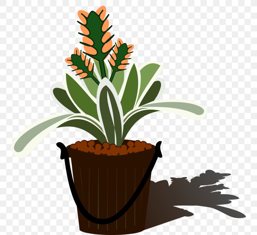Aechmea Vector Graphics Clip Art Tillandsia Flowering Plant, PNG, 750x750px, Aechmea, Aechmea Chantinii, Aechmea Fasciata, Botany, Bromeliads Download Free