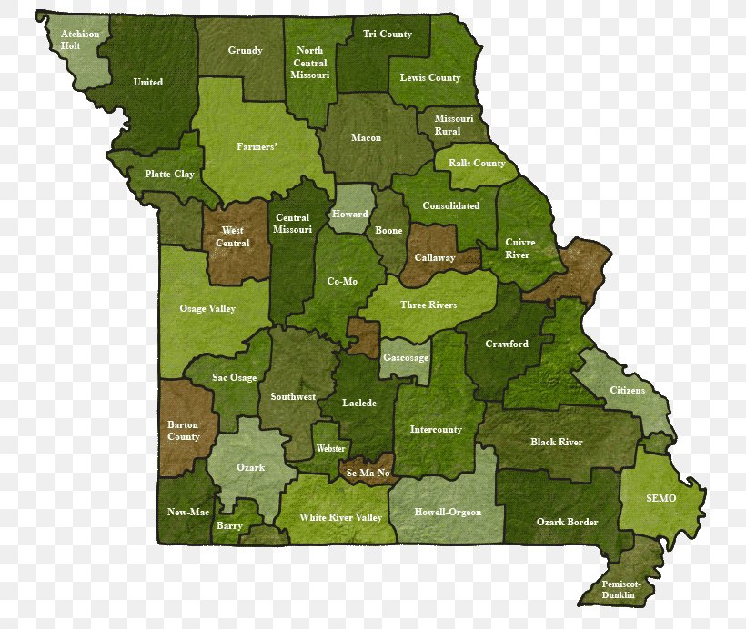 The Association Of Missouri Electric Cooperatives Electricity Business Missouri Electric Co-Op, PNG, 762x692px, Cooperative, Business, Company, Electric Utility, Electrical Grid Download Free