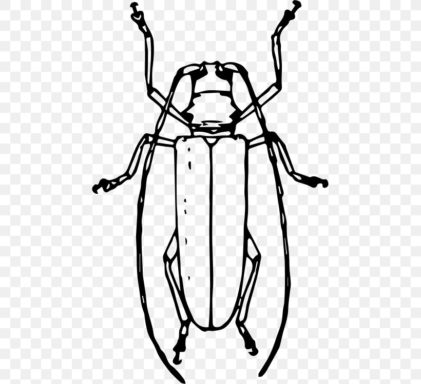 Longhorn Beetle Drawing Cardinal Beetle Clip Art, PNG, 461x749px, Beetle, Artwork, Asian Longhorned Beetle, Black And White, Cardinal Beetle Download Free
