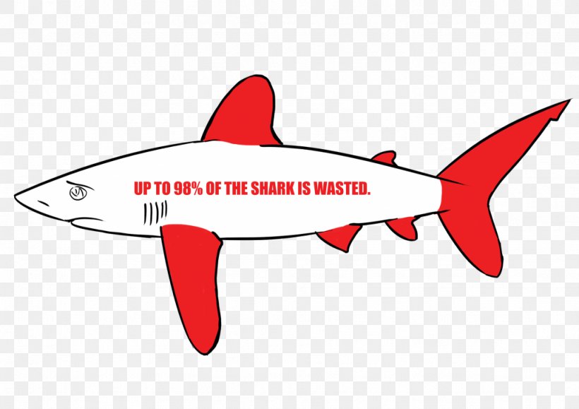 Shark Fin Soup Shark Finning Fish Great White Shark, PNG, 1024x724px, Shark, Animal, Artwork, Basking Shark, Batoidea Download Free