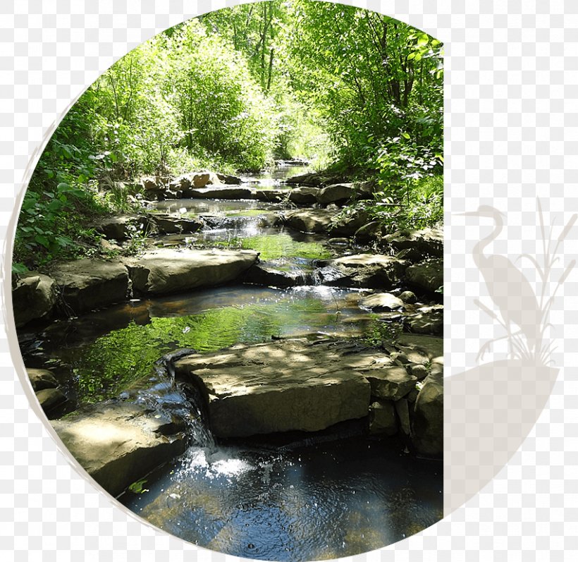 Stream Restoration Water Resources Nature Reserve Watercourse, PNG, 851x828px, Stream Restoration, Bioretention, Constructed Wetland, Creek, Forest Download Free