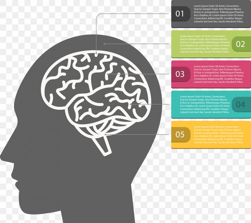Template Euclidean Vector Download, PNG, 2108x1875px, Template, Brain, Brand, Communication, Human Behavior Download Free