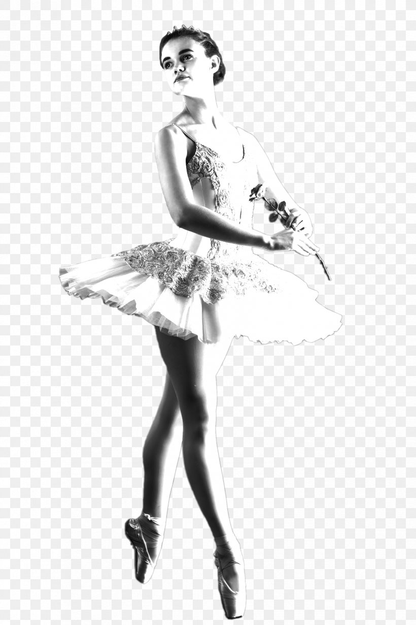 Tutu Dance Ballet Costume Performing Arts, PNG, 1676x2514px, Watercolor, Cartoon, Flower, Frame, Heart Download Free
