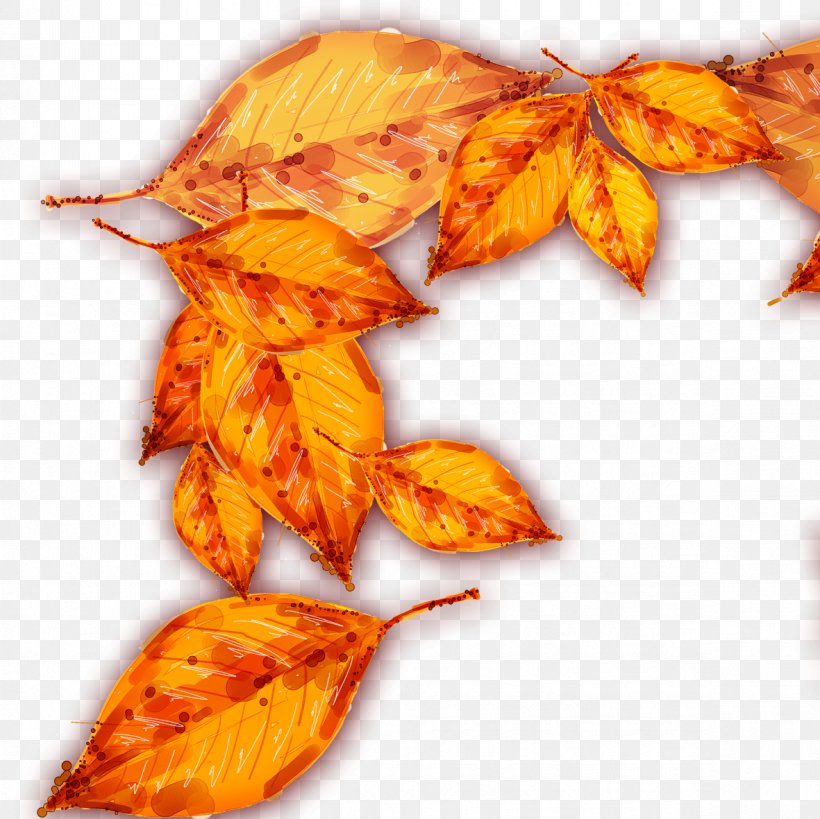 Autumn Deciduous Leaf, PNG, 1181x1181px, Autumn, Concepteur, Deciduous, Leaf, Maple Leaf Download Free