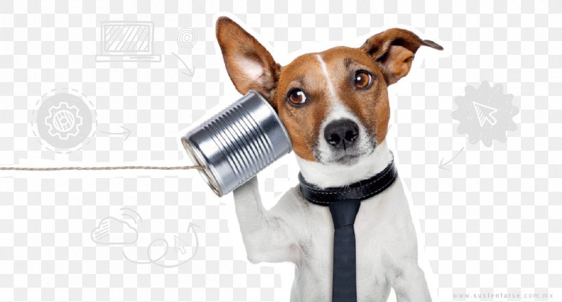 Dog Grooming Pet Telephone Call Cat, PNG, 1207x650px, Dog, Animal, Business, Call Centre, Carnivoran Download Free