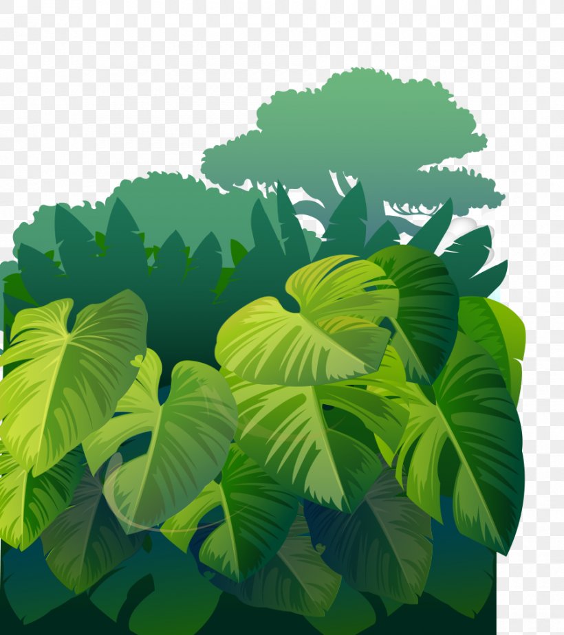 Forest Computer File, PNG, 900x1015px, Forest, Animation, Cartoon, Drawing, Grass Gis Download Free