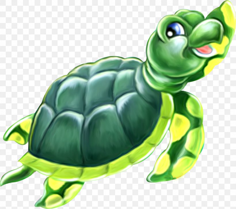 Green Sea Turtle Reptile Image Drawing, PNG, 1597x1418px, Turtle, Drawing, Fauna, Green Sea Turtle, Leatherback Sea Turtle Download Free