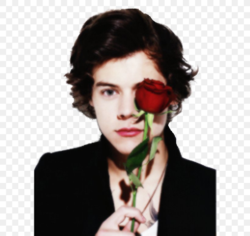 Harry Styles One Direction Photo Shoot Boy Band, PNG, 600x774px, Watercolor, Cartoon, Flower, Frame, Heart Download Free