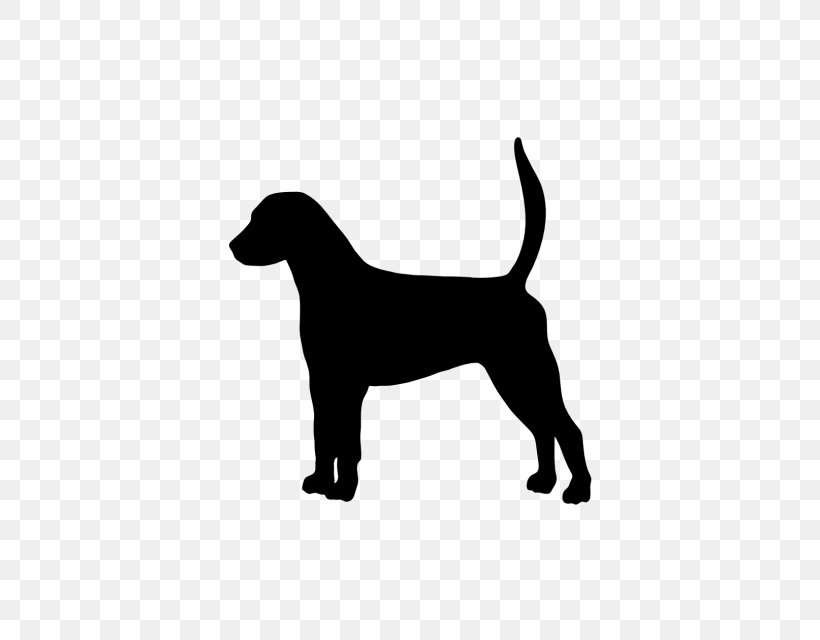 Labrador Retriever Puppy Dog Breed English Foxhound American Foxhound, PNG, 640x640px, Labrador Retriever, American Foxhound, Black, Black And White, Carnivoran Download Free