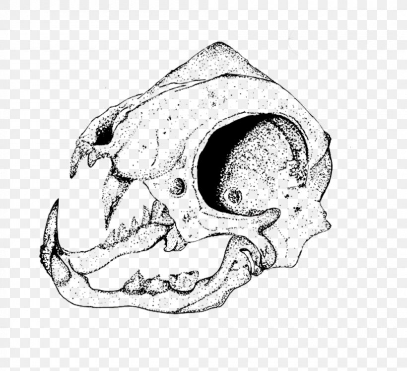 Nose Car Jaw Mouth Sketch, PNG, 1000x912px, Nose, Animal, Artwork, Automotive Design, Black And White Download Free