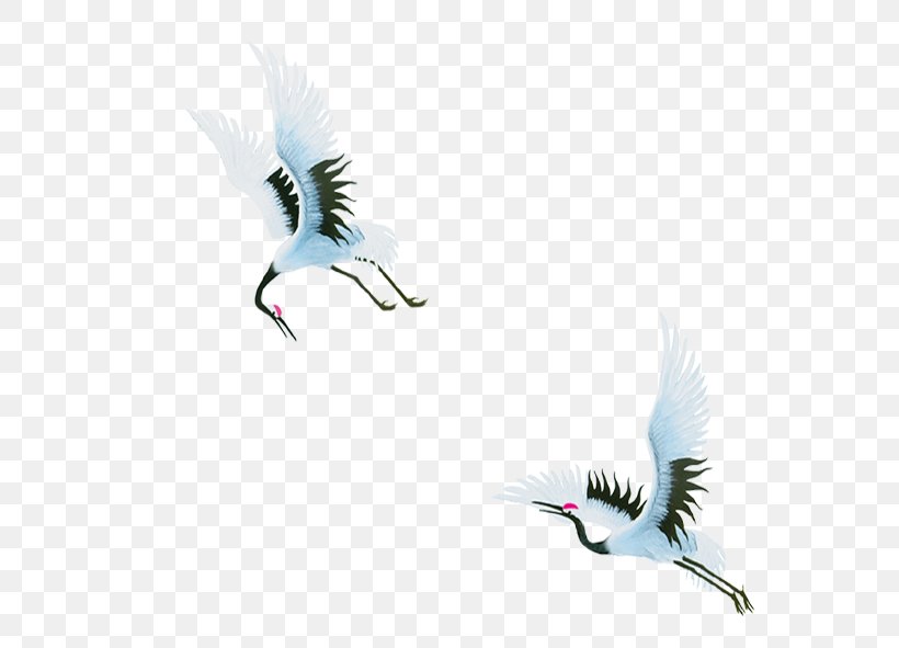 Red-crowned Crane Bird Origami Paper, PNG, 591x591px, Crane, Beak, Bird, Crane Like Bird, Fauna Download Free