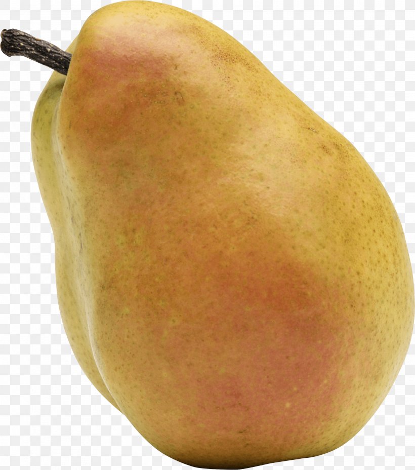 Bosc Pear Asian Pear Pyrus Nivalis Vegetarian Cuisine, PNG, 2082x2357px, Bosc Pear, Amygdaloideae, Asian Pear, Berries, European Pear Download Free