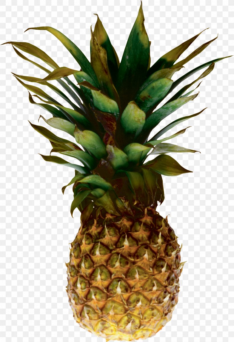 Juice Pineapple Clip Art, PNG, 2148x3138px, Juice, Ananas, Bromeliaceae, Flowerpot, Food Download Free