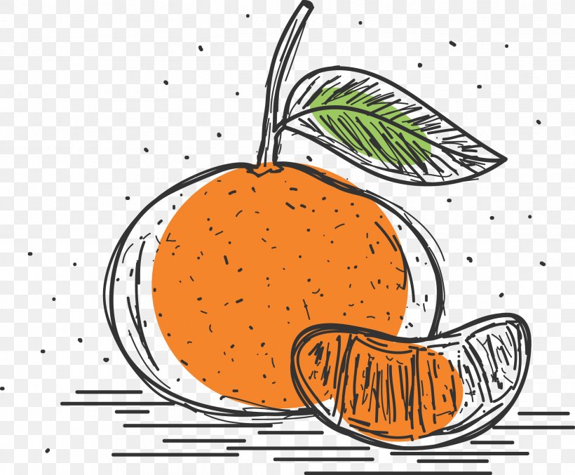 Mandarin Orange Pomelo Grapefruit Clementine, PNG, 2432x2009px, Orange, Citrus, Clementine, Cuisine, Food Download Free