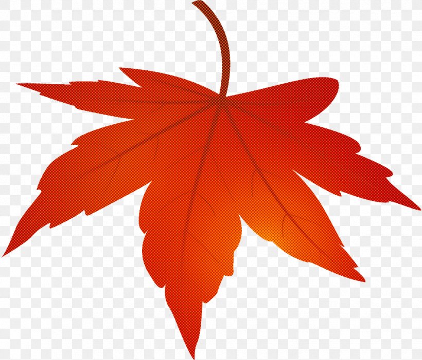 Maple Leaf Autumn Leaf Yellow Leaf, PNG, 1028x880px, Maple Leaf, Autumn, Autumn Leaf, Black Maple, Deciduous Download Free