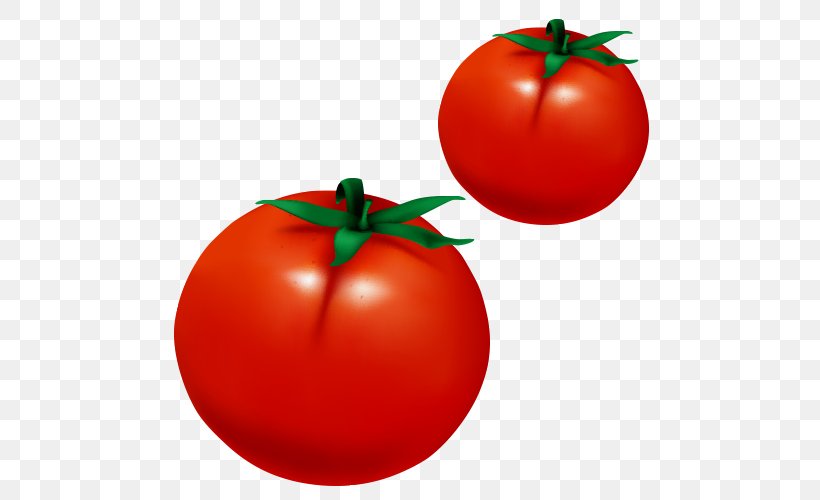 Plum Tomato Kids Urdu Qaida Bush Tomato Fun Graphics, PNG, 500x500px, Plum Tomato, Android, Apple, Bush Tomato, Diet Food Download Free