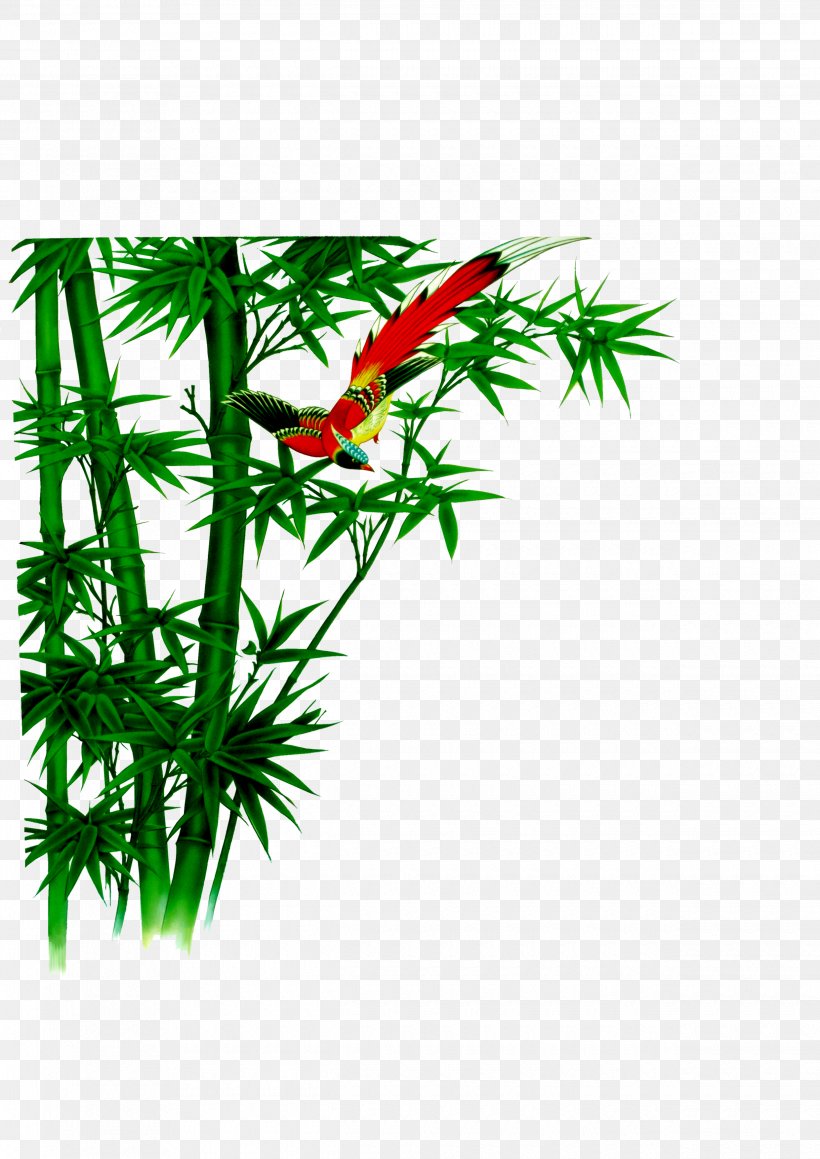 Bamboe Bamboo Computer File, PNG, 2480x3508px, Bamboe, Bamboo, Branch, Flora, Grass Download Free