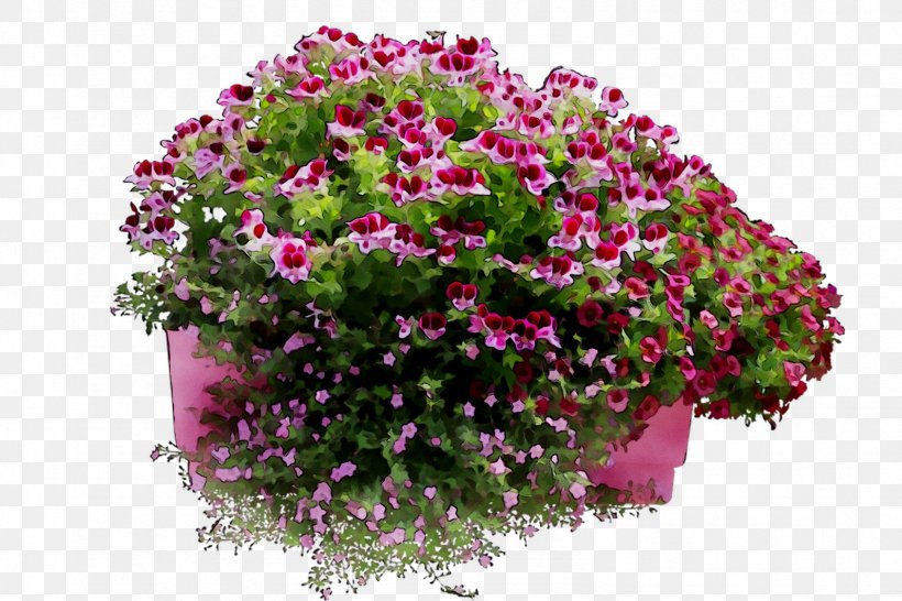 Floral Design Cut Flowers Flower Bouquet Chrysanthemum, PNG, 1593x1062px, Floral Design, Alyssum, Annual Plant, Bougainvillea, Chrysanthemum Download Free