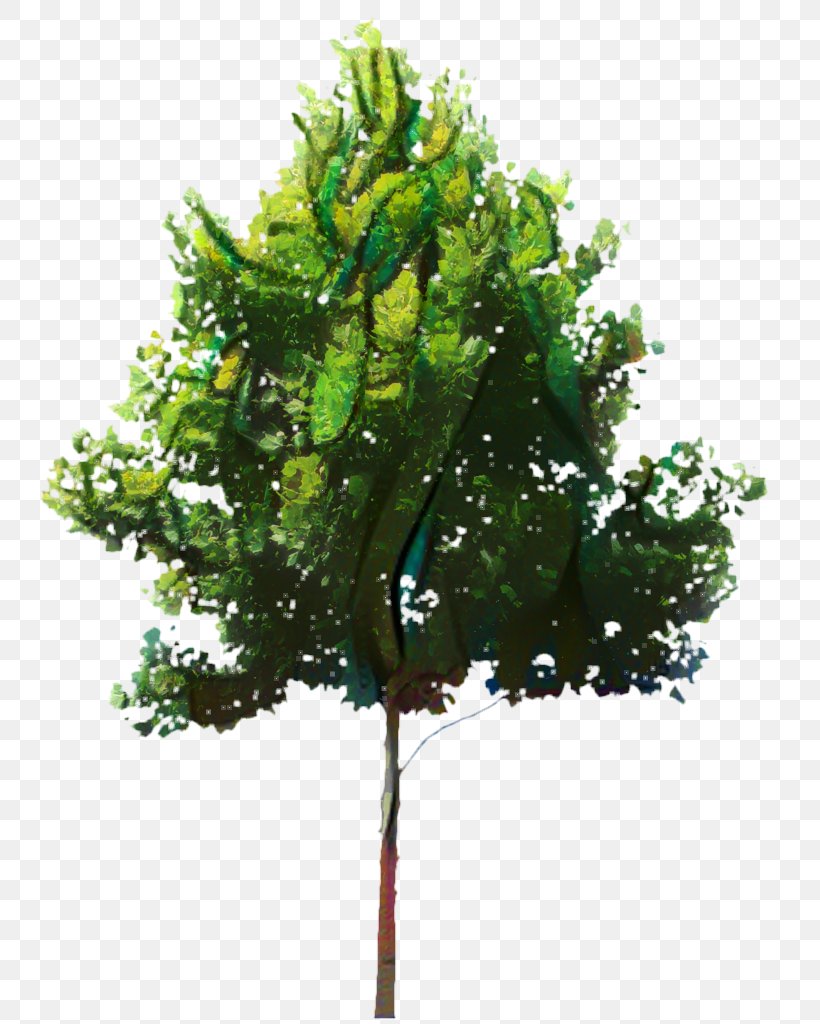 Oak Tree Leaf, PNG, 745x1024px, Tree, Birch, Branch, Fall Tree, Flower Download Free