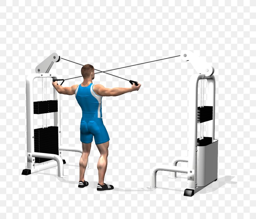 Shoulder Rear Delt Raise Physical Fitness Exercise Deltoid Muscle, PNG, 700x700px, Shoulder, Abdomen, Arm, Balance, Barbell Download Free