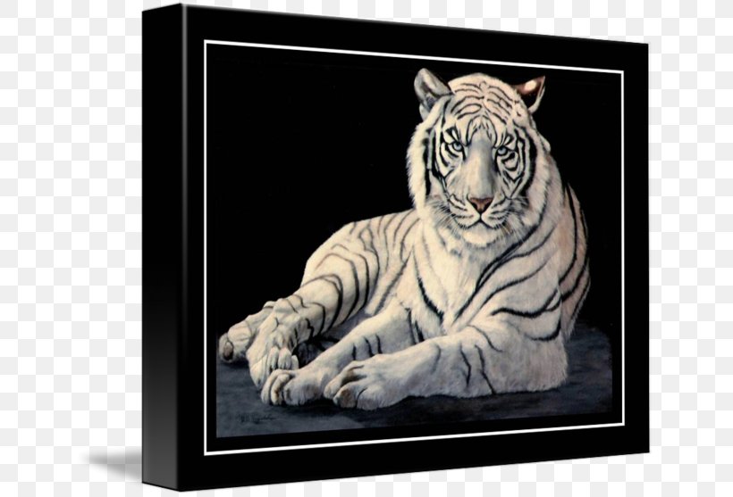 White Tiger Art Drawing Oil Painting, PNG, 650x557px, Tiger, Art, Art Museum, Artist, Big Cats Download Free