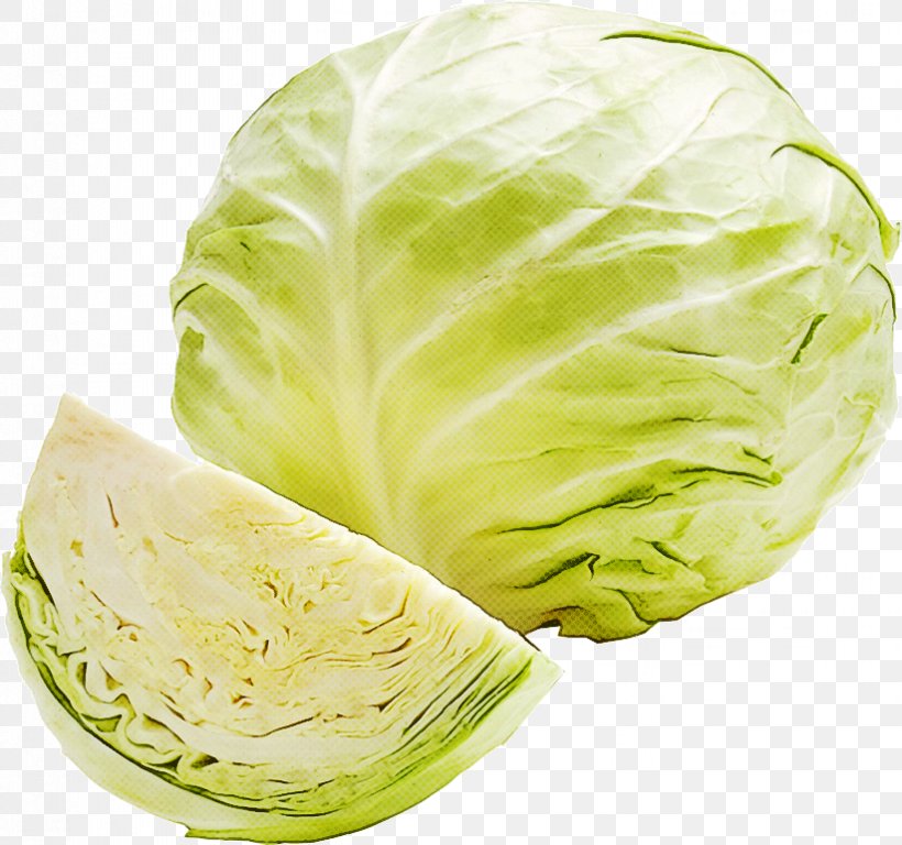 Cabbage Leaf Vegetable Vegetable Iceburg Lettuce Savoy Cabbage, PNG, 823x771px, Cabbage, Food, Iceburg Lettuce, Leaf Vegetable, Lettuce Download Free