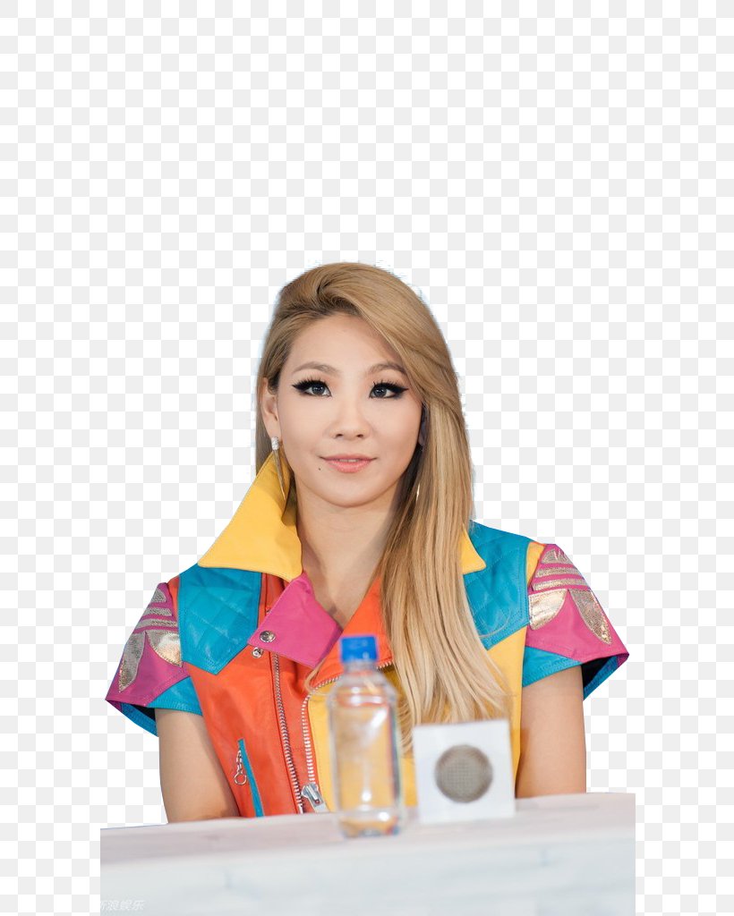 CL 2NE1 K-pop Artist, PNG, 683x1024px, Watercolor, Cartoon, Flower, Frame, Heart Download Free