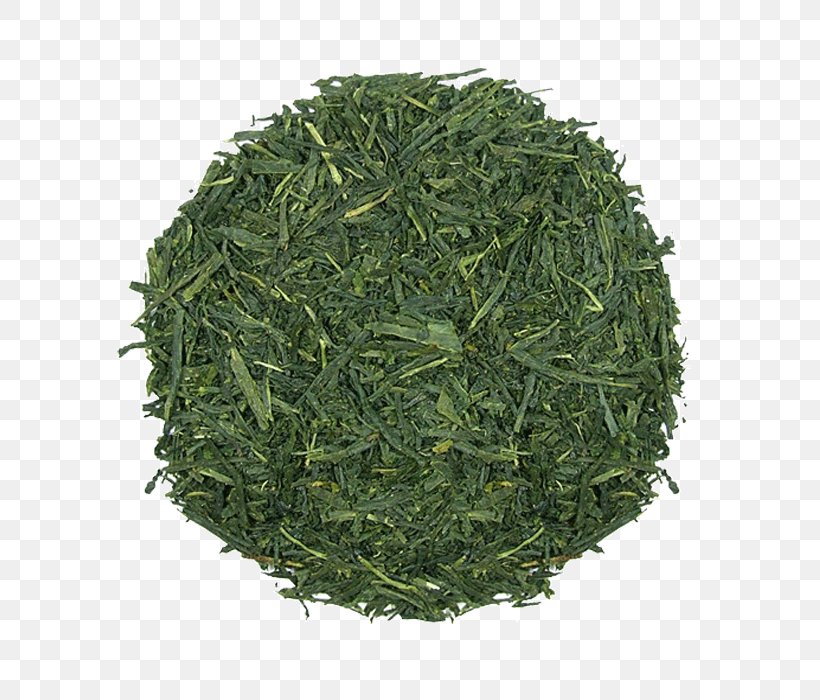 Gyokuro Endive Nilgiri Tea Sencha Bancha, PNG, 700x700px, Gyokuro, Aonori, Assam Tea, Bancha, Biluochun Download Free