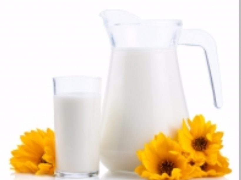 Plant Milk Food Ingredient Common Sunflower, PNG, 1074x805px, Milk, Common Sunflower, Cooking, Cup, Dairy Product Download Free