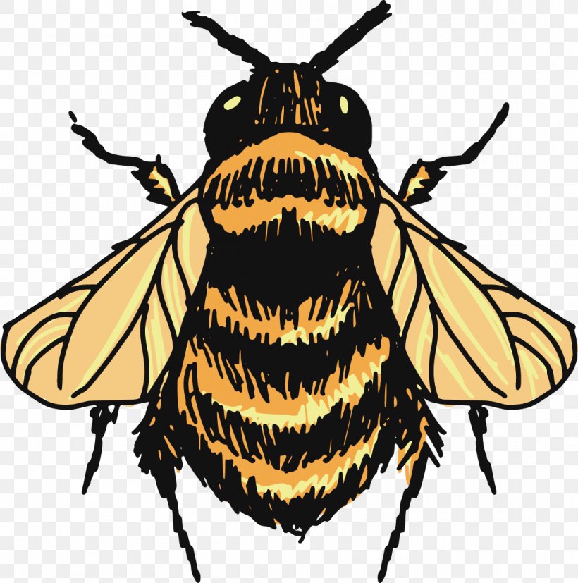 Bumblebee Drawing Sketch, PNG, 1099x1109px, Bumblebee, Arthropod, Bee, Drawing, Fly Download Free