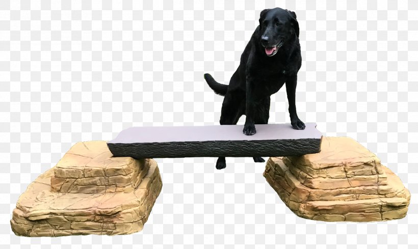 Dog Balance Beam Leash Wood, PNG, 2384x1422px, Dog, Balance Beam, Beam, Climbing, Dog Agility Download Free