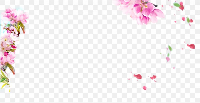 Download Clip Art, PNG, 1549x799px, Pink, Button, Floral Design, Floristry, Flower Download Free