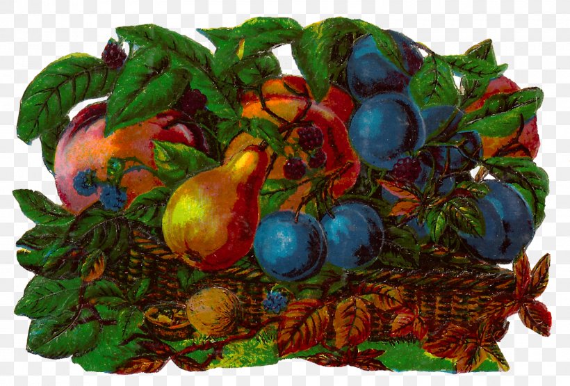 Fruit Food Gift Baskets Clip Art, PNG, 1600x1084px, Fruit, Art, Basket, Botany, Digital Illustration Download Free