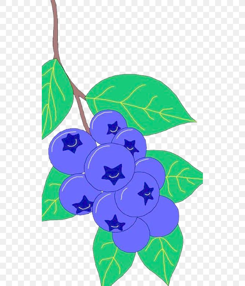 Vegetable Auglis Blueberry, PNG, 539x958px, Vegetable, Art, Auglis, Blueberry, Branch Download Free