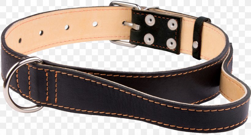 Dog Collar Dog Collar Neck Leather, PNG, 1280x687px, Dog, Belt, Collar, Dog Collar, Fashion Accessory Download Free
