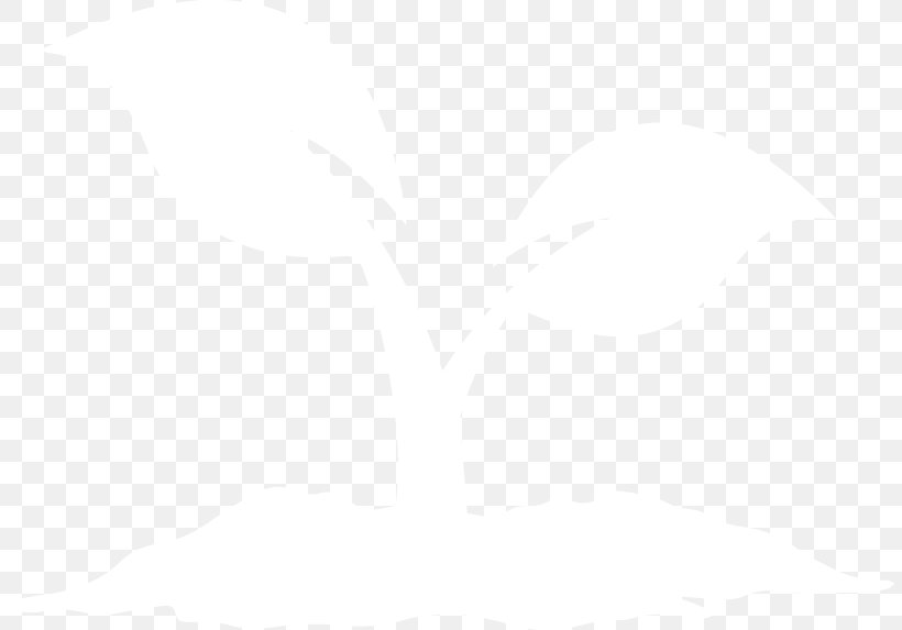 Lyft Logo United States Manly Warringah Sea Eagles Organization, PNG, 806x573px, Lyft, Industry, Logo, Manly Warringah Sea Eagles, Organization Download Free