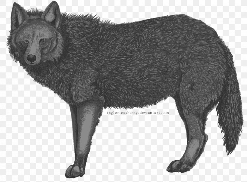 Red Fox Raccoon Gray Fox Dog Viverrids, PNG, 900x662px, Red Fox, Black And White, Breed, Carnivoran, Dog Download Free
