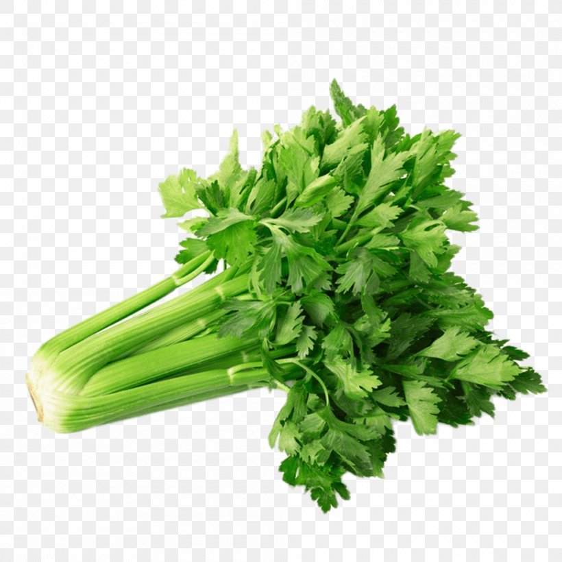 Celery Powder Vegetable Juice Organic Food, PNG, 1000x1000px, Celery, Apiaceae, Carrot, Cauliflower, Celery Powder Download Free