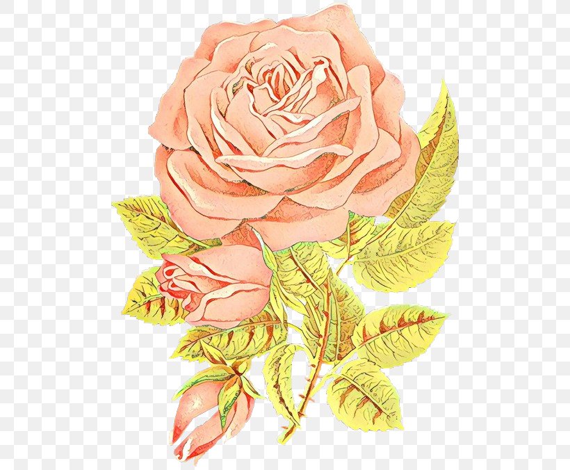 Pink Flower Cartoon, PNG, 500x676px, Cartoon, Bouquet, Cabbage Rose, Cut Flowers, Floral Design Download Free