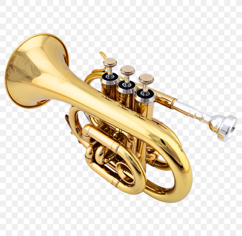 Pocket Trumpet Cornet Musical Instrument Brass Instrument, PNG, 800x800px, Watercolor, Cartoon, Flower, Frame, Heart Download Free