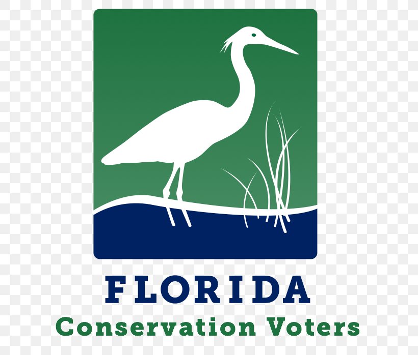 Voting Conservation Floridas Water & Land Legacy Election Day, PNG, 625x698px, Voting, Advertising, Ballot, Beak, Bird Download Free