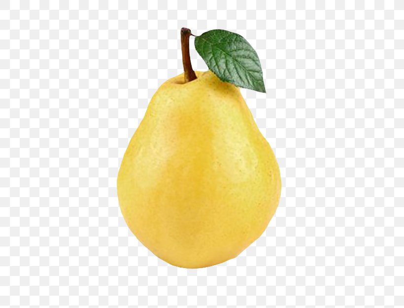 Citron Pear Lemon, PNG, 500x625px, Citron, Citric Acid, Citrus, Citrus Junos, Food Download Free