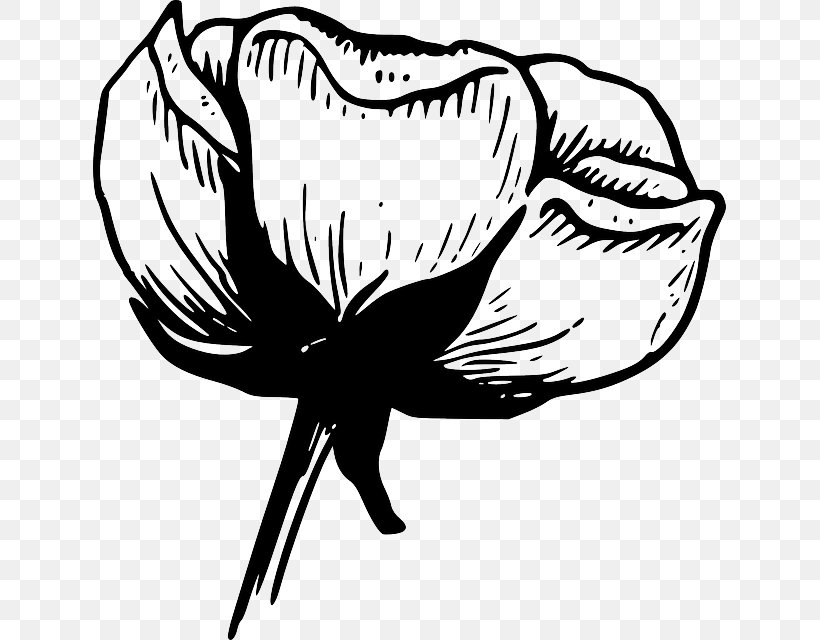 Flower White Black Rose Clip Art, PNG, 633x640px, Flower, Artwork, Black, Black And White, Black Rose Download Free